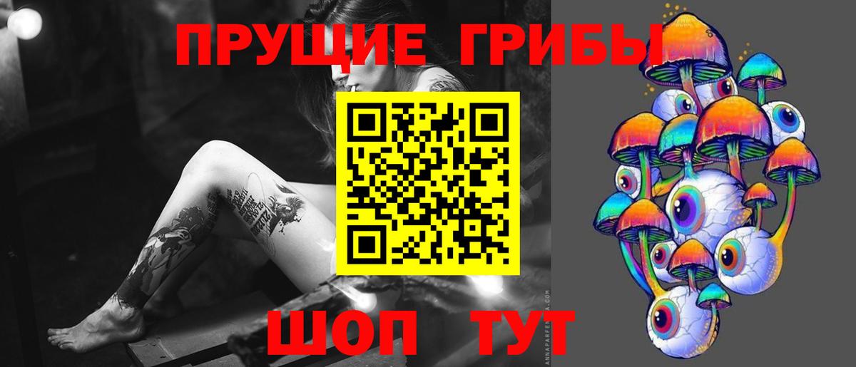 купить закладку  Вход с VPN  Новодвинск  Галлюциногенные грибы Psilocybine cubensis 